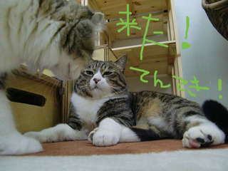 BlogPaint