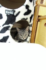 IMG_6996_edited-1