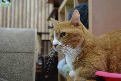 60A878DC-61EB-41EF-8C26-FDE0A626224D