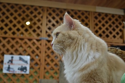 AC1837D6-E8F1-4E7A-862A-5D580A8FCF92