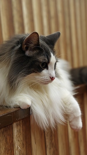 0I6A0778_edited-1
