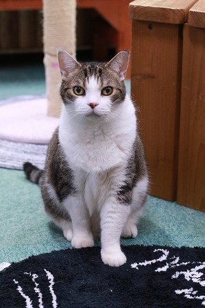 2023 04 16_nekomanma_7980