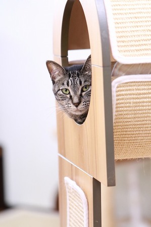 2023 04 30_nekomanma_8073