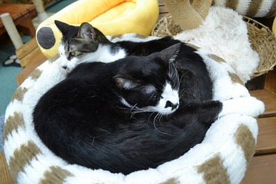 499BE7BC-9108-4EA3-B108-6300CF0CC4A2