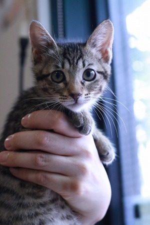 2024 08 23_nekomanma_6602