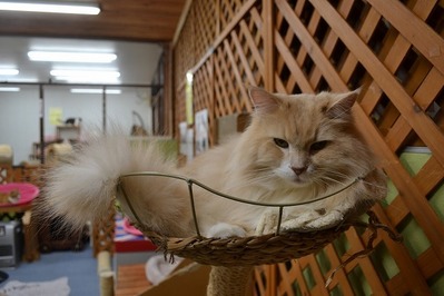 416080B2-5A17-4C2B-A717-443D803CB562