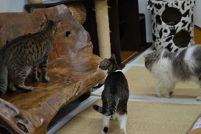 EC280AB3-8F12-4E8E-B431-E2578D97E3AC