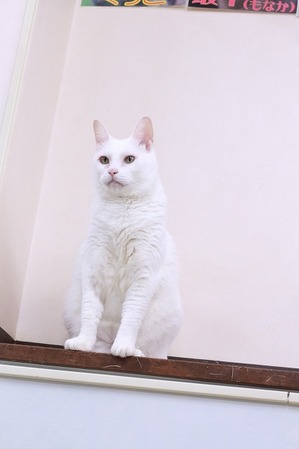 2025 09 28_nekomanma_2664