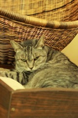 IMG_7453