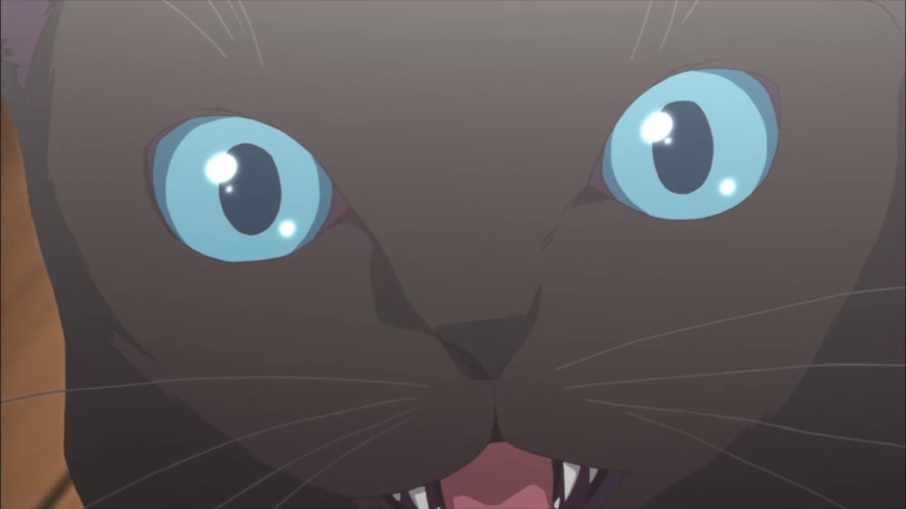 入れ替わってる もはや古典だよねw アニメ実況しようぜ 入れ替わってる もはや古典だよねw アニメ実況しようぜ