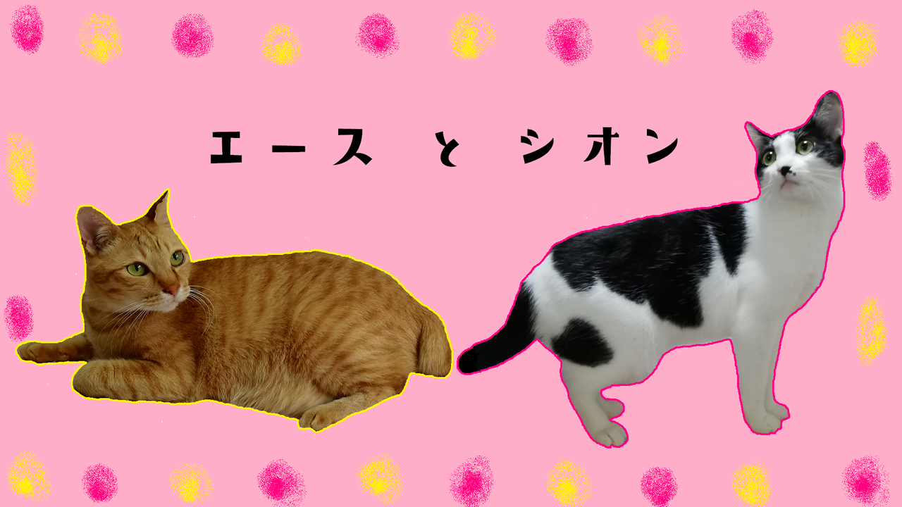 エースとシオン エースとシオン