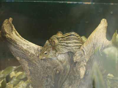 2012082210