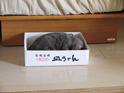 2013101601
