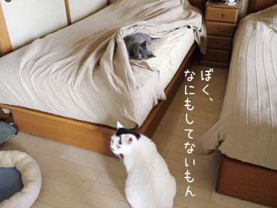 2013062707