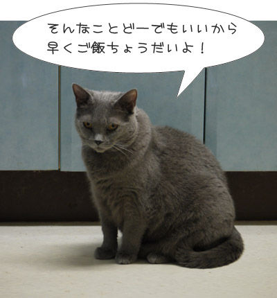 2013011901