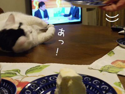 2013041703