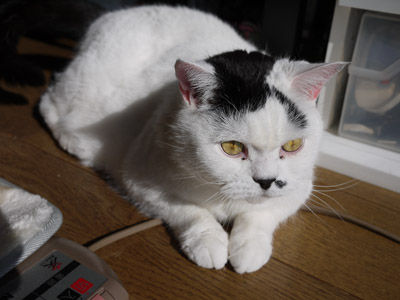 2013013101