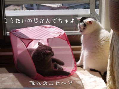 2013041003
