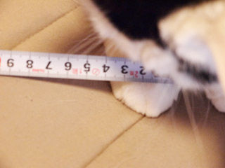 2013021504