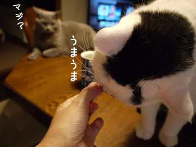 2012083107