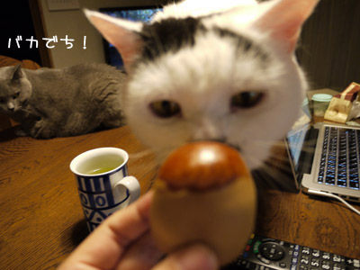 2012083104