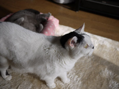 2012112902