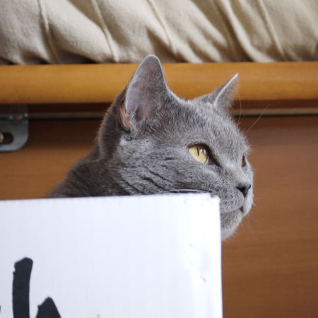 2013101606