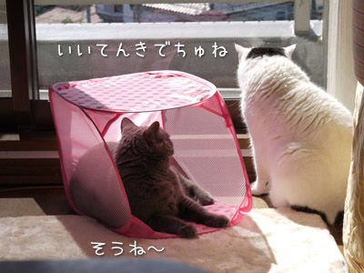 2013041001