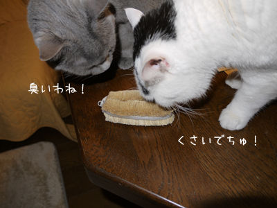 2013033110