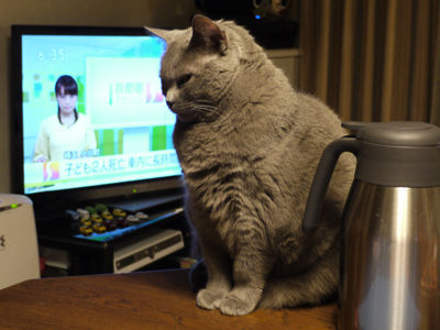 2013032505