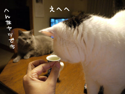 2012083108