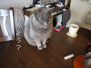 2013021506