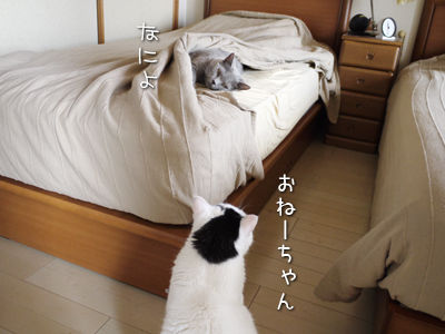 2013062703