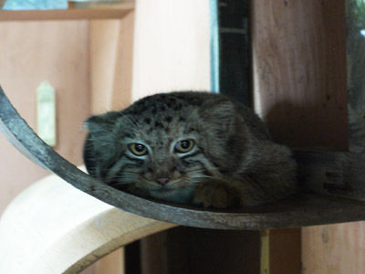 2012082206