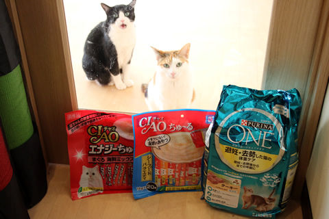 20190113_ミネバさん里親さん