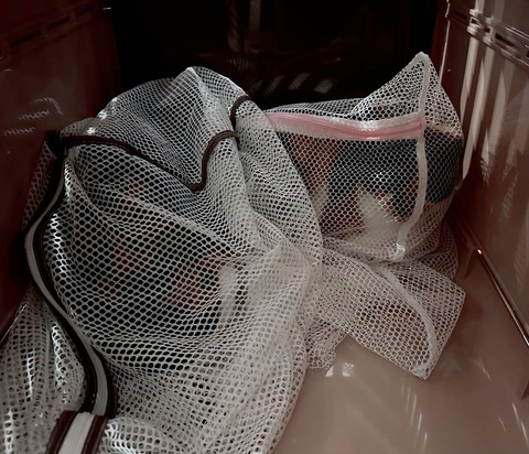 B0A0291E-67F9-423A-8665-D6477A16BAA4