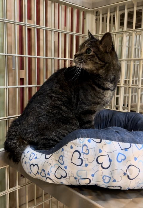 9473F3E6-776E-4D62-89E5-F6276C9D6227