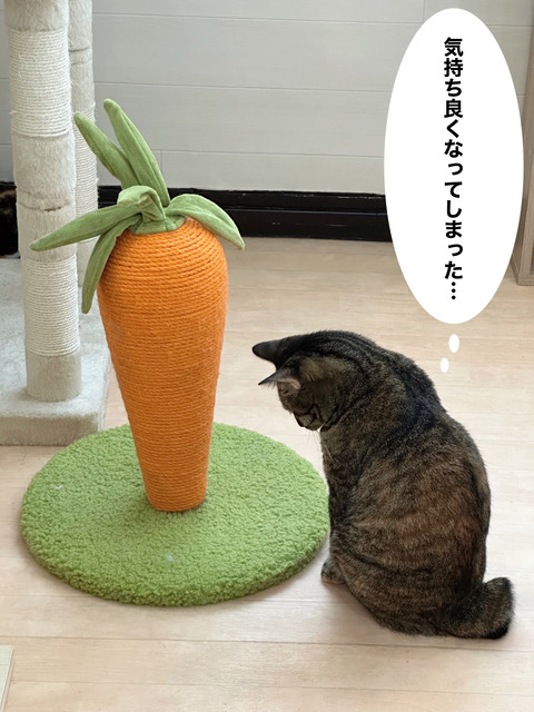 A15431CE-8F26-4947-9AF5-6889B58546EE