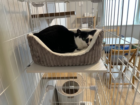 AA41A95A-1152-4468-9AC3-6020ADAE5E5C