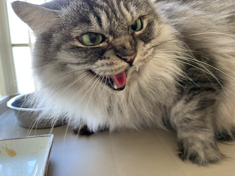 1DAE812D-7F61-499F-9622-572A0E8A984F