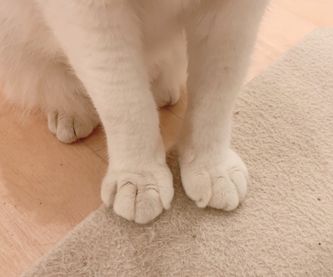 70855D3F-C270-448F-A70B-B34EDB1F2086