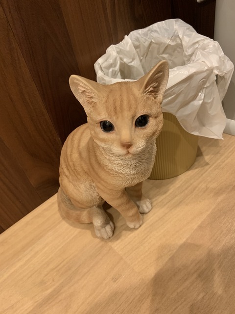 6E0C6604-13C9-4CA4-93E1-C07D61E9E439