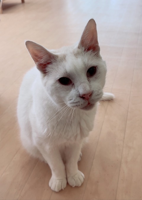 F2408D0A-2581-45DE-821D-0BCC22D53AE7