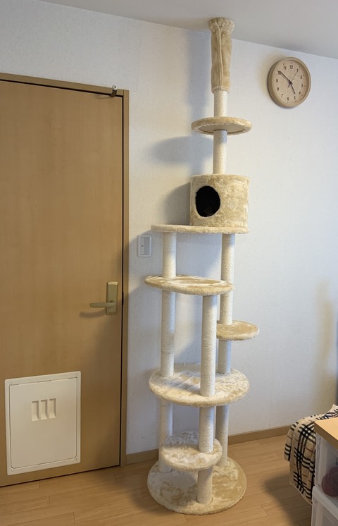 72402FF8-FFC3-48C7-83A3-3053C6679B5F