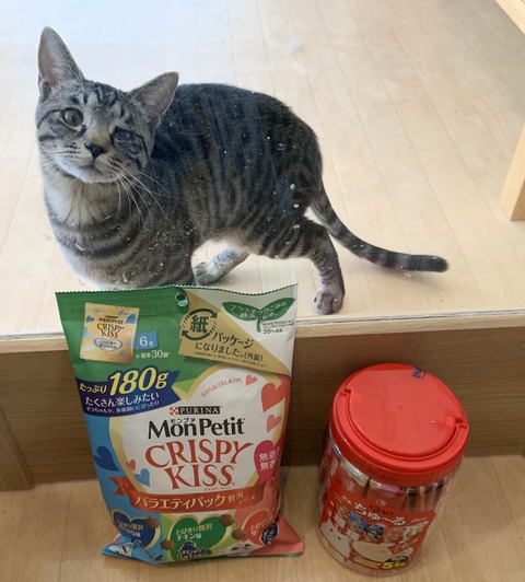 DD261CFB-9D9E-46F5-A451-4B4D9B9C235C