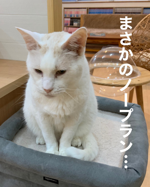 26E27405-8FF4-4B22-9E3A-BCB8FC7E328F