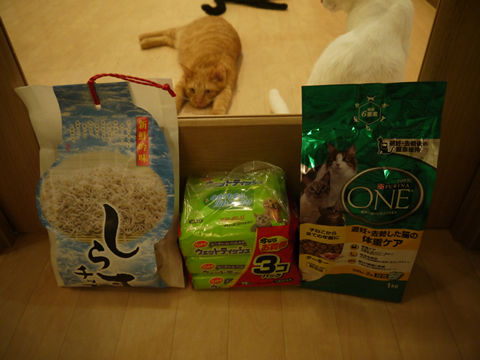 猫式ブログ～里親募集型猫カフェ