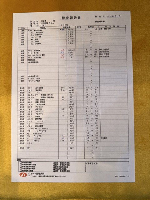 B4A44A5C-B120-4A3C-B8B6-A5A04E0ADA6C