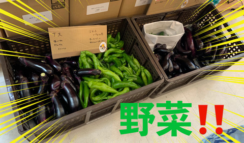 A864EB9D-ED04-4AC2-991A-A320B196B819