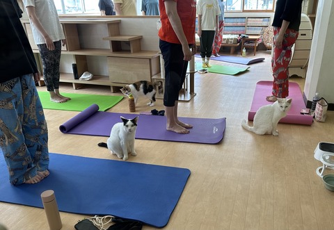 E8F38EBB-BFAC-4B0C-BB6F-62E096D1C3B5